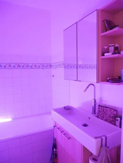 Rare Avec Jardin Privatif Au Centre De Apartment *